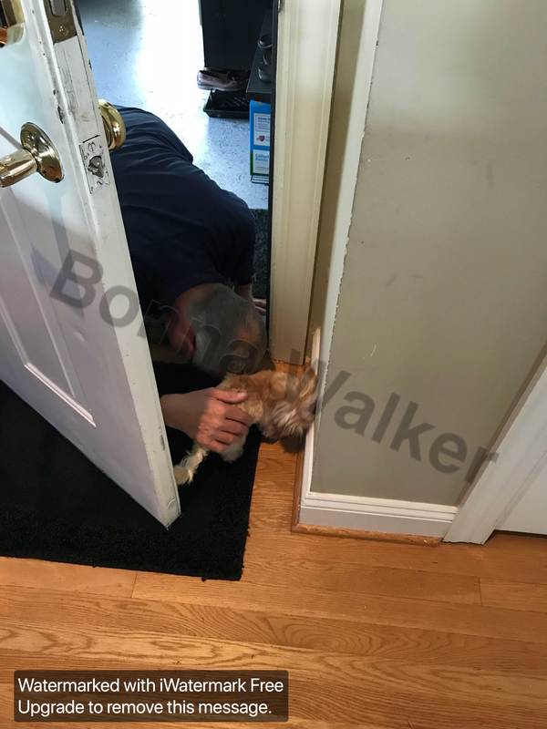 Dad's home
